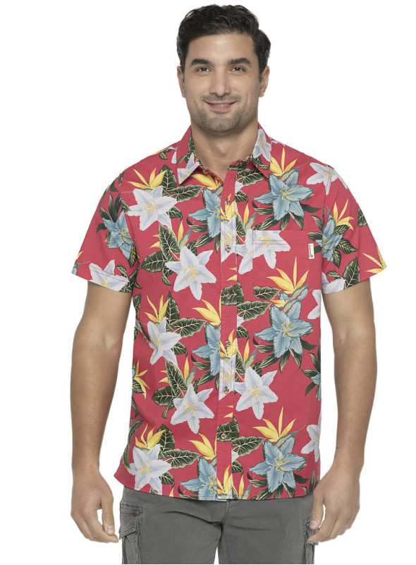 Camisa Palma I961 PANAMA JACK gris