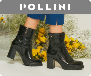 POLLINI