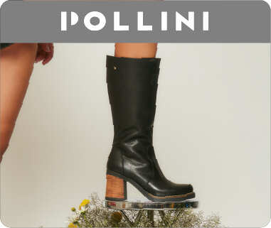 pollini